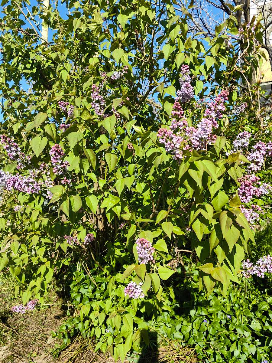 Фото автора канала