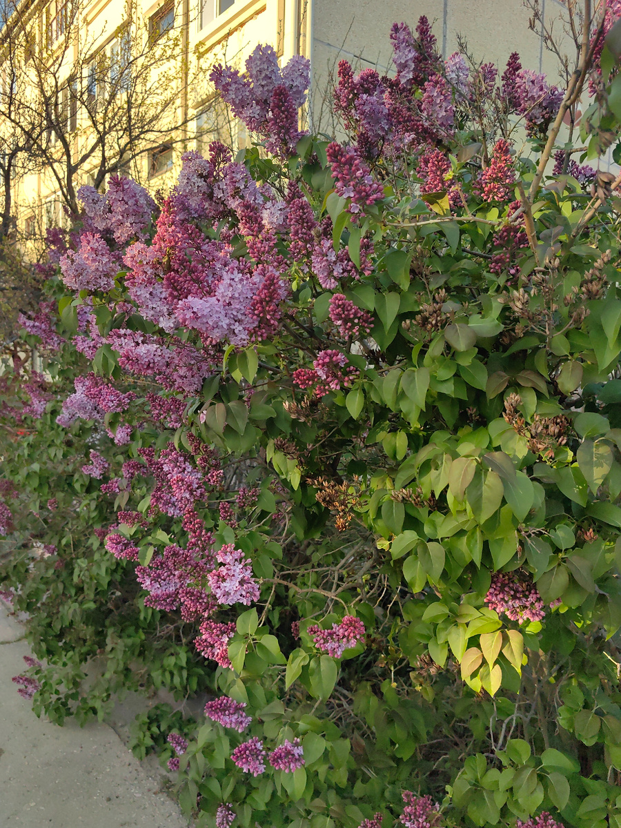 Фото автора канала