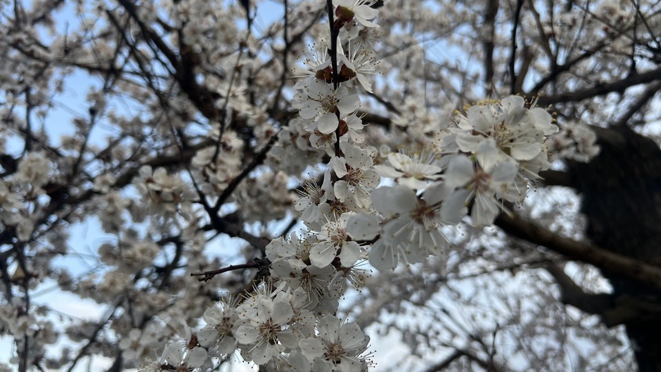 В Запорожской области ожидаются дожди и потепление до +17°