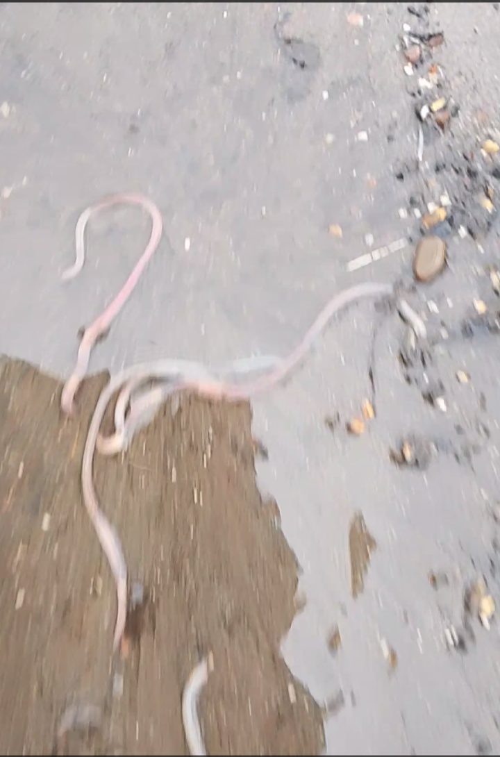 Что это было, не знаю.