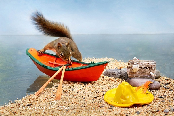 Приглашение от Осы