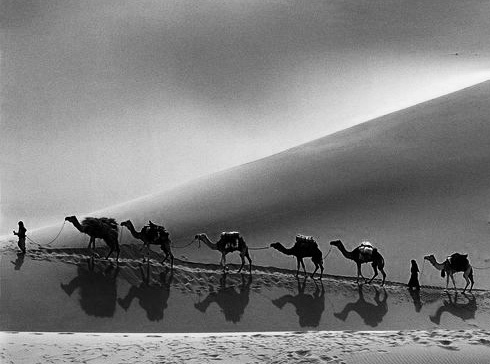 «Кто на "губе" не сидел, тот и службы не видал» (Мои рассказики).