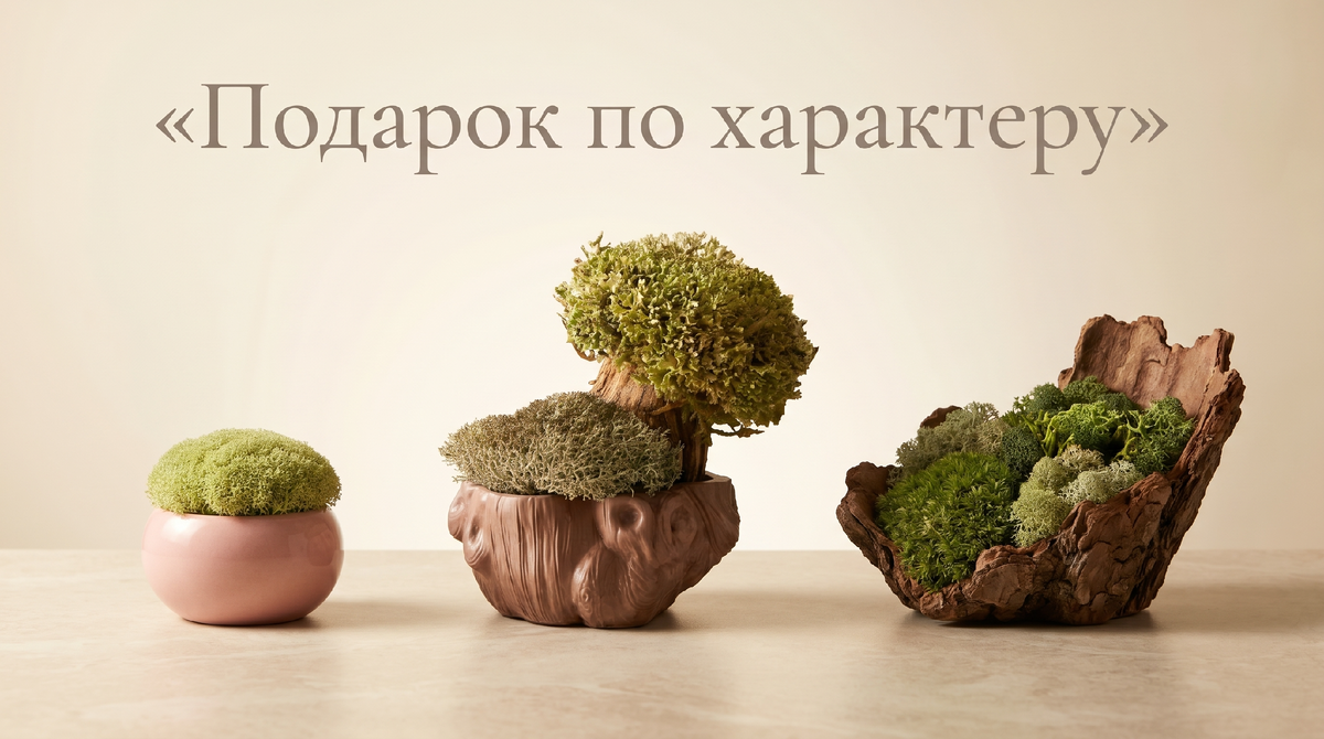 Смотрите готовые идеи подарков в нашей группе ВКонтакте — vk.com/cetrarium_ru