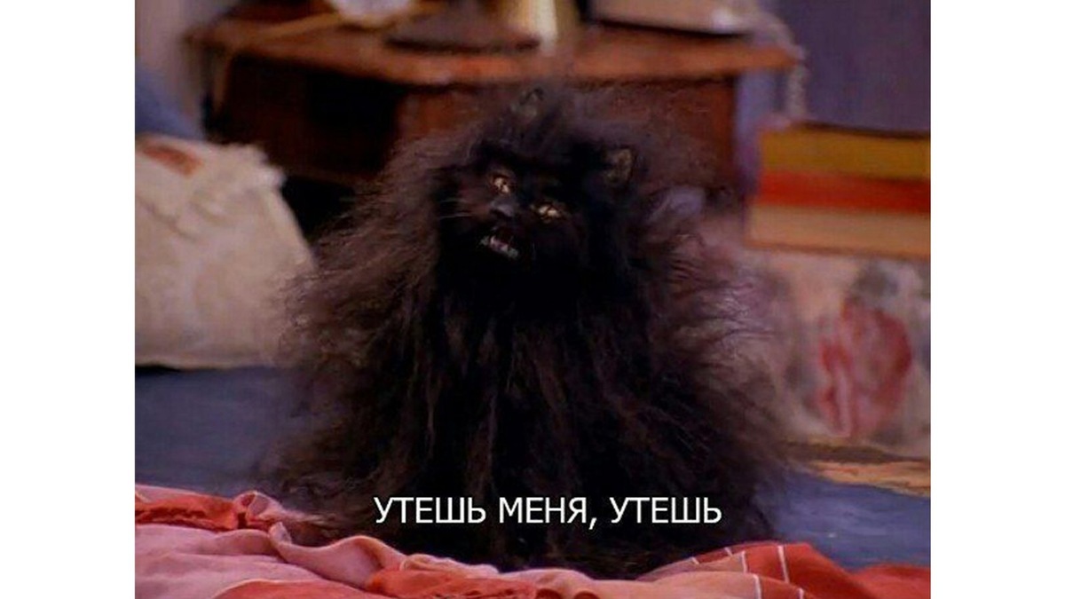    Утешь меня, утешь!