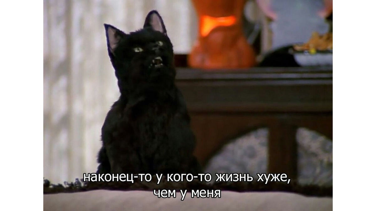    Наконец-то у кого-то жизнь хуже, чем у меня