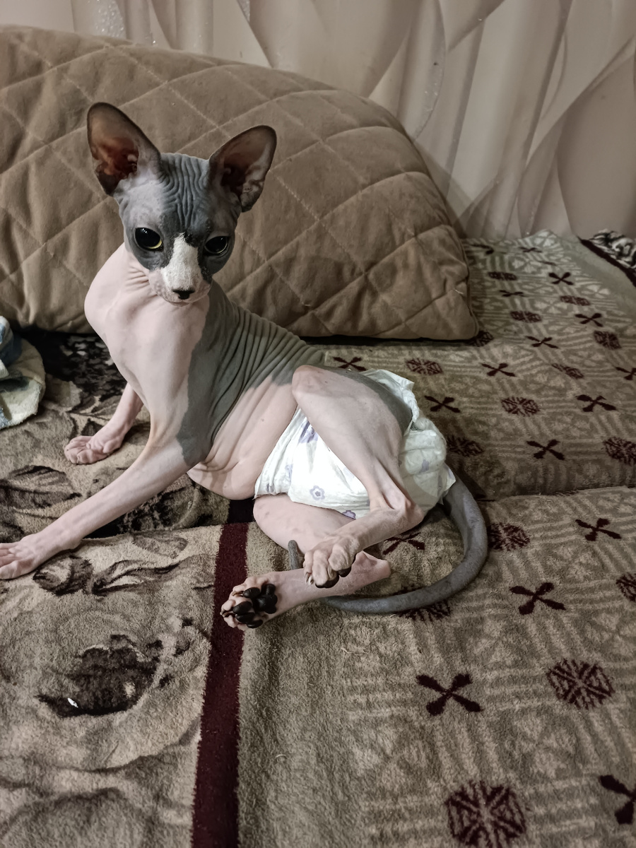 Болезный Васенька