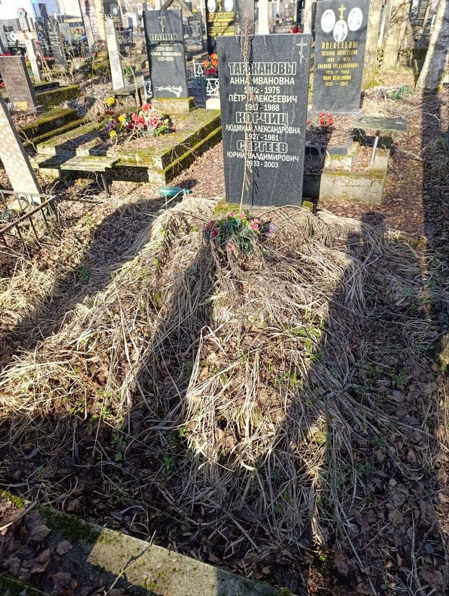 Могила бабушки, дяди и таинственных лиц на Южном кладбище Санкт-Петербурга. Фото из личного архива автора. 