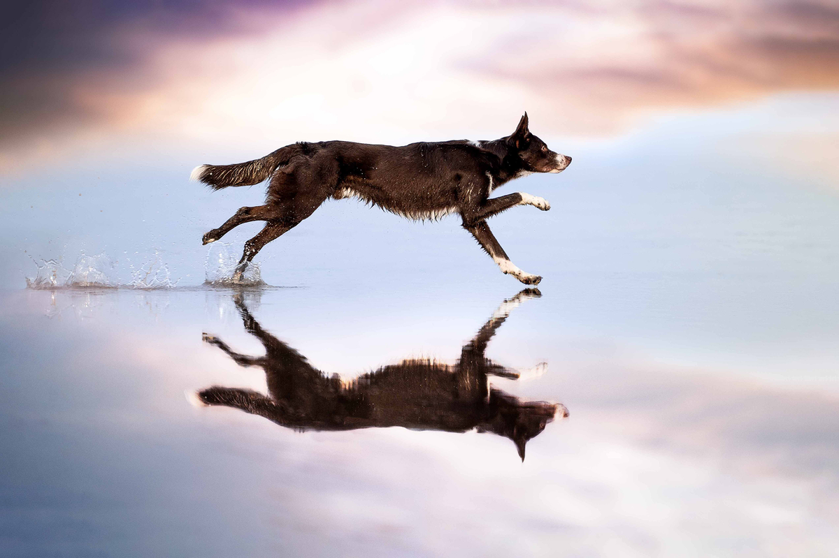 Paula Grekelä, Finland. «Dreamworld»