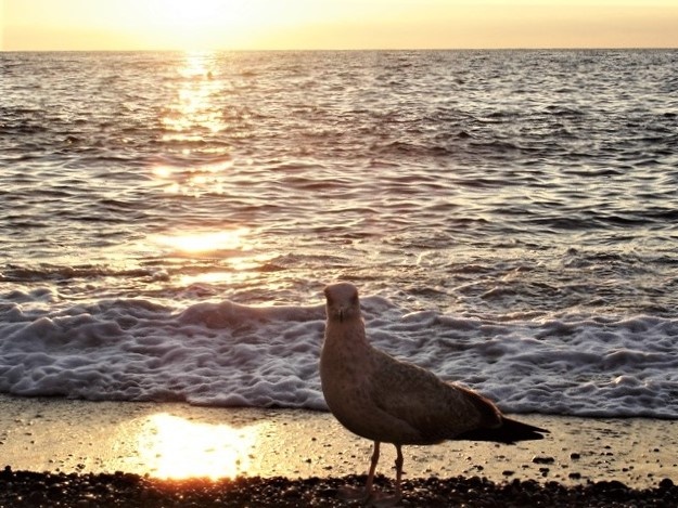 Фото автора. Крым
