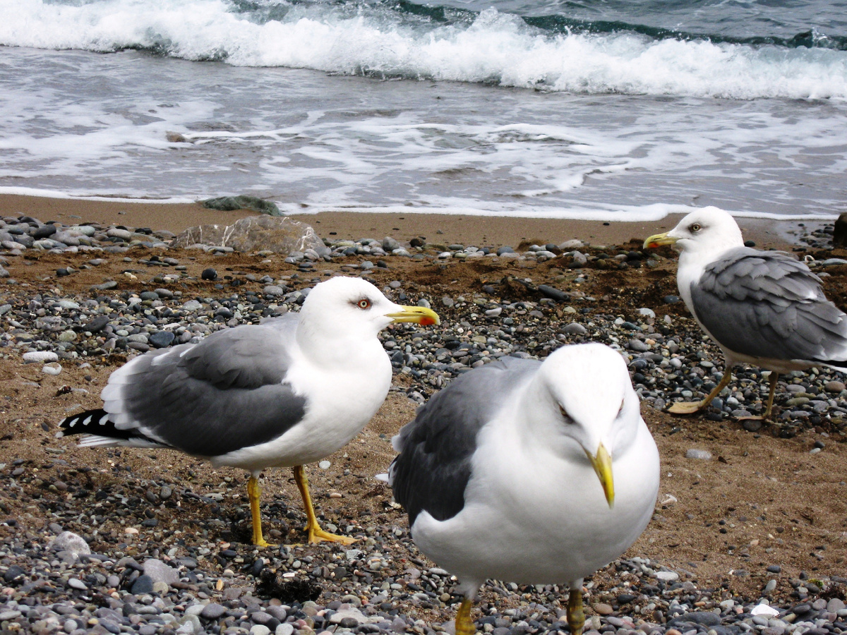Фото автора. Крым