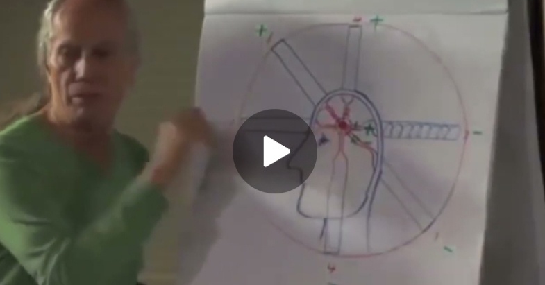 Ссылка на видео Друнвало Мельхиседека "Шишковидная железа" https://www.youtube.com/watch?v=qcptrUN3aSA