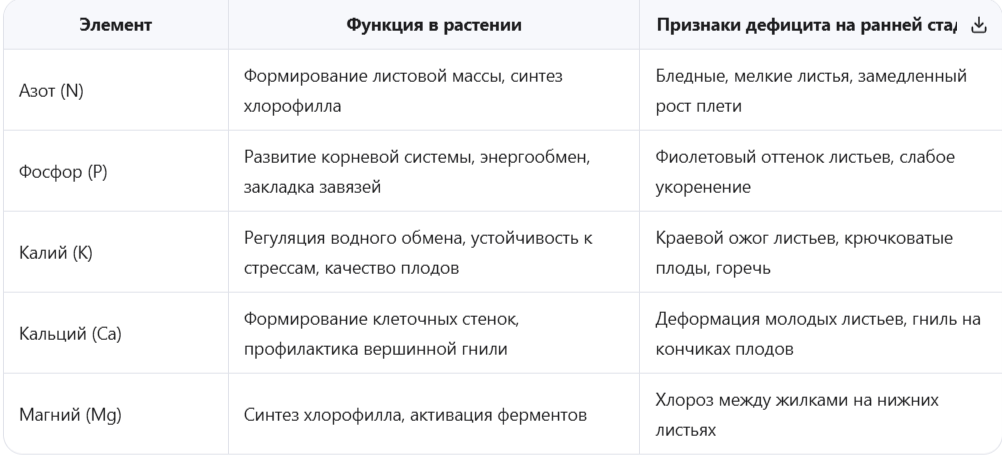 Биологические потребности огурца на старте вегетации