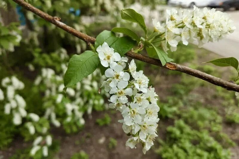 Фото: UfaTime.ru