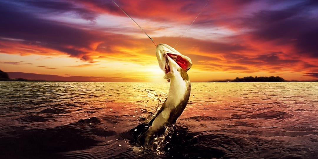 Почему 7 из 10 рыбаков неправильно выбирают леску и теряют крупную рыбу