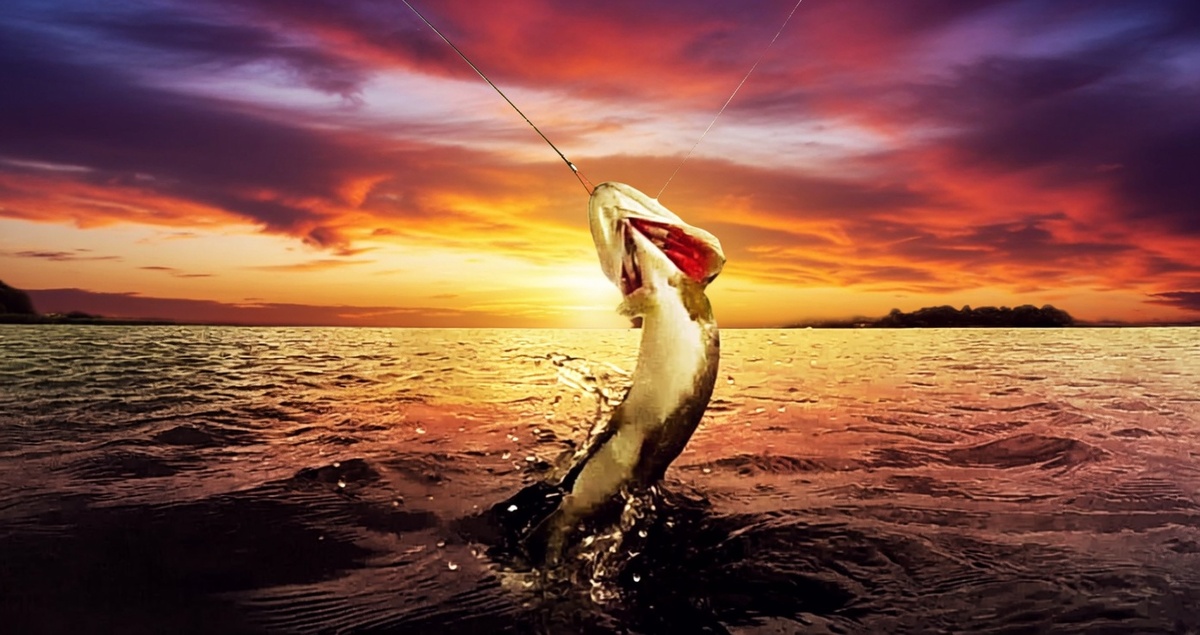 Качество лески очень важно на рыбалке