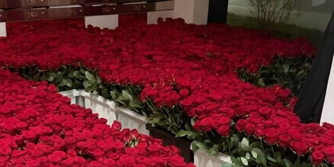 Девушка, которой привезли миллион роз в Раменках, отказалась от подарка из-за цвета