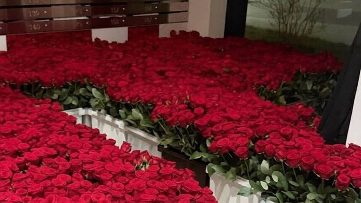    Фото: соцсети