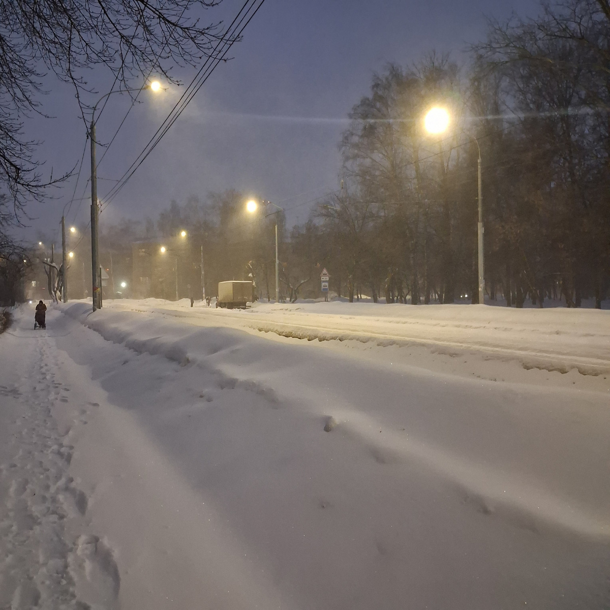 Зима. Буря мглою небо кроет. Фото автора. 