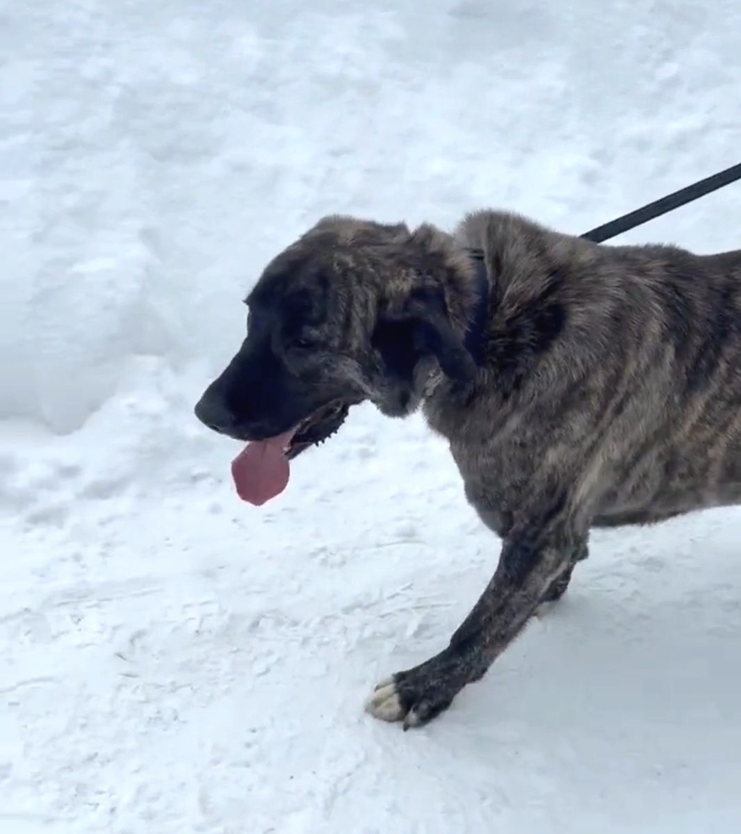 Чинно иду. Ну или стараюсь идти чинно:)