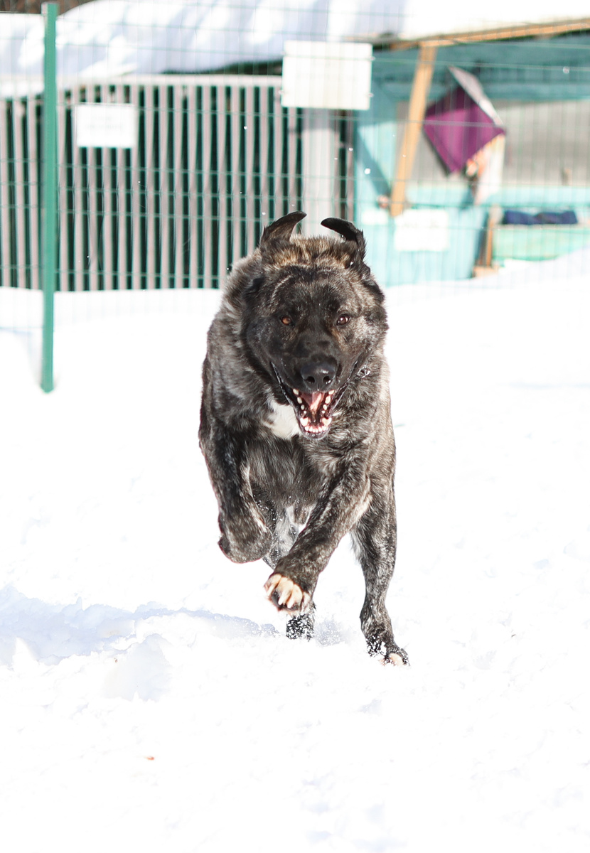 А еще у меня была кликуха в приюте "Электричка":)