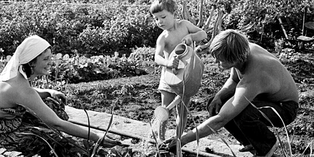 Правда о советских дачах: почему государство отмерило ровно шесть соток — и ни сантиметром больше