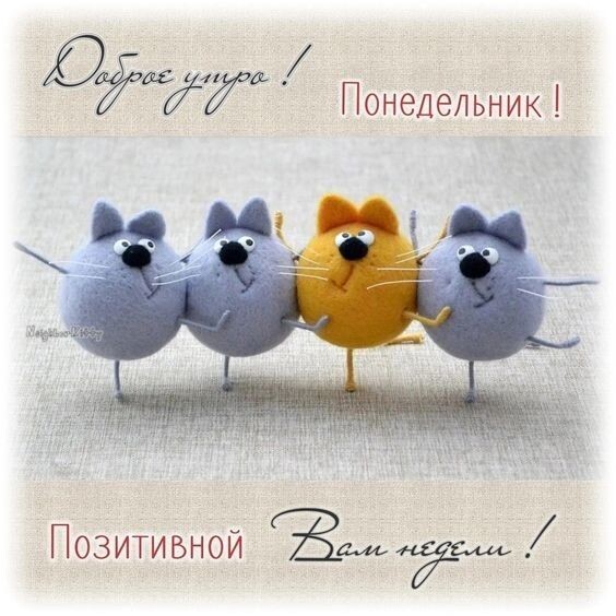 Картинка из интернета 