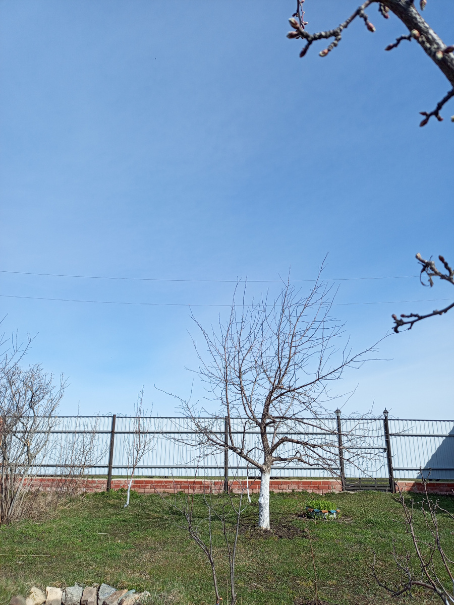 Ясное утро.