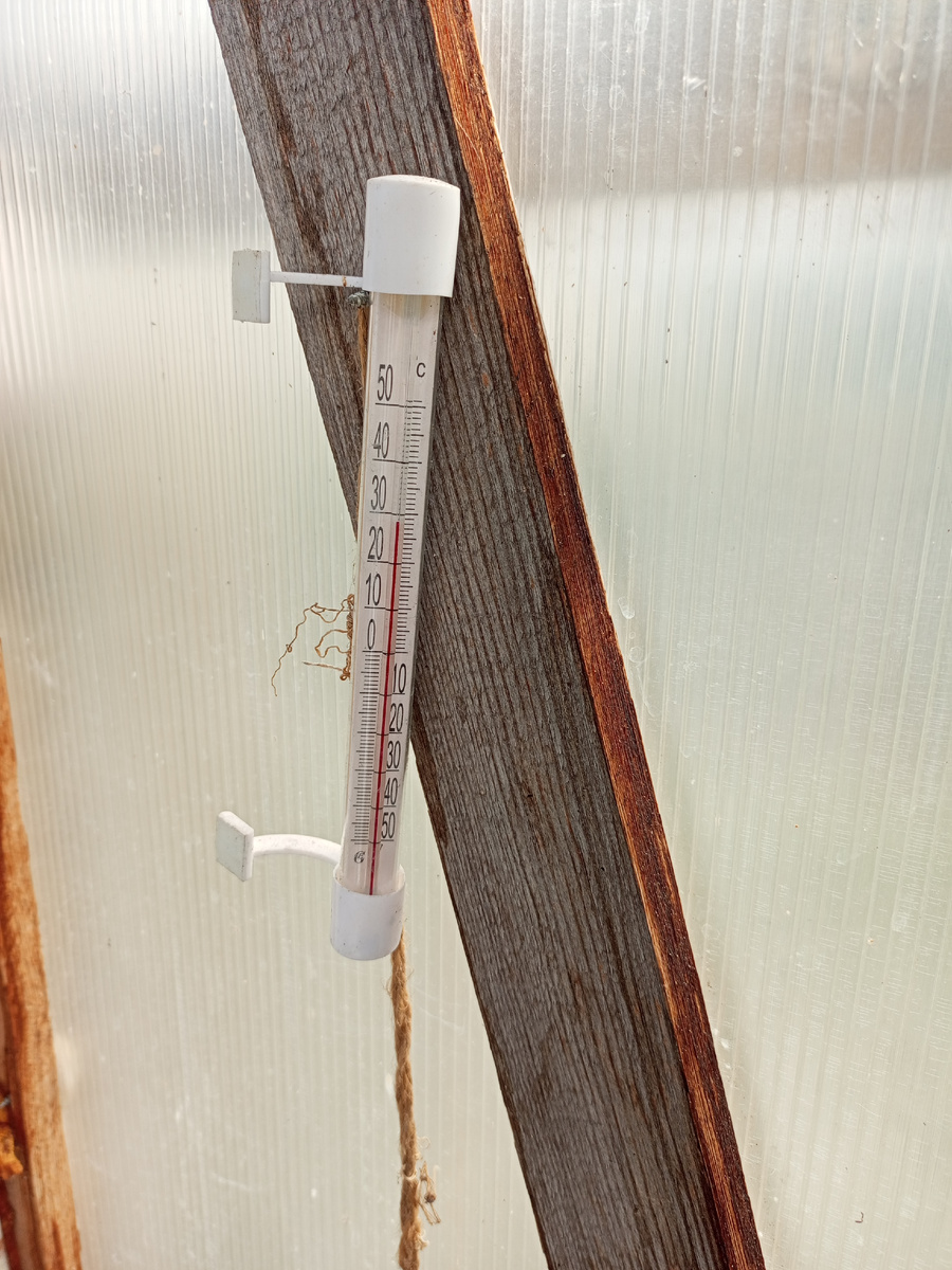 В теплице жарковато.