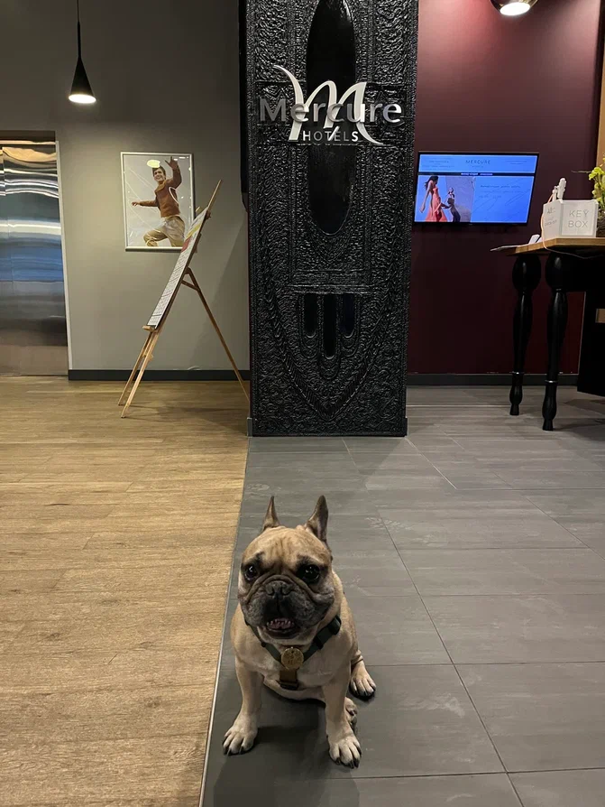 Папа выбирает лучший ракурс😂