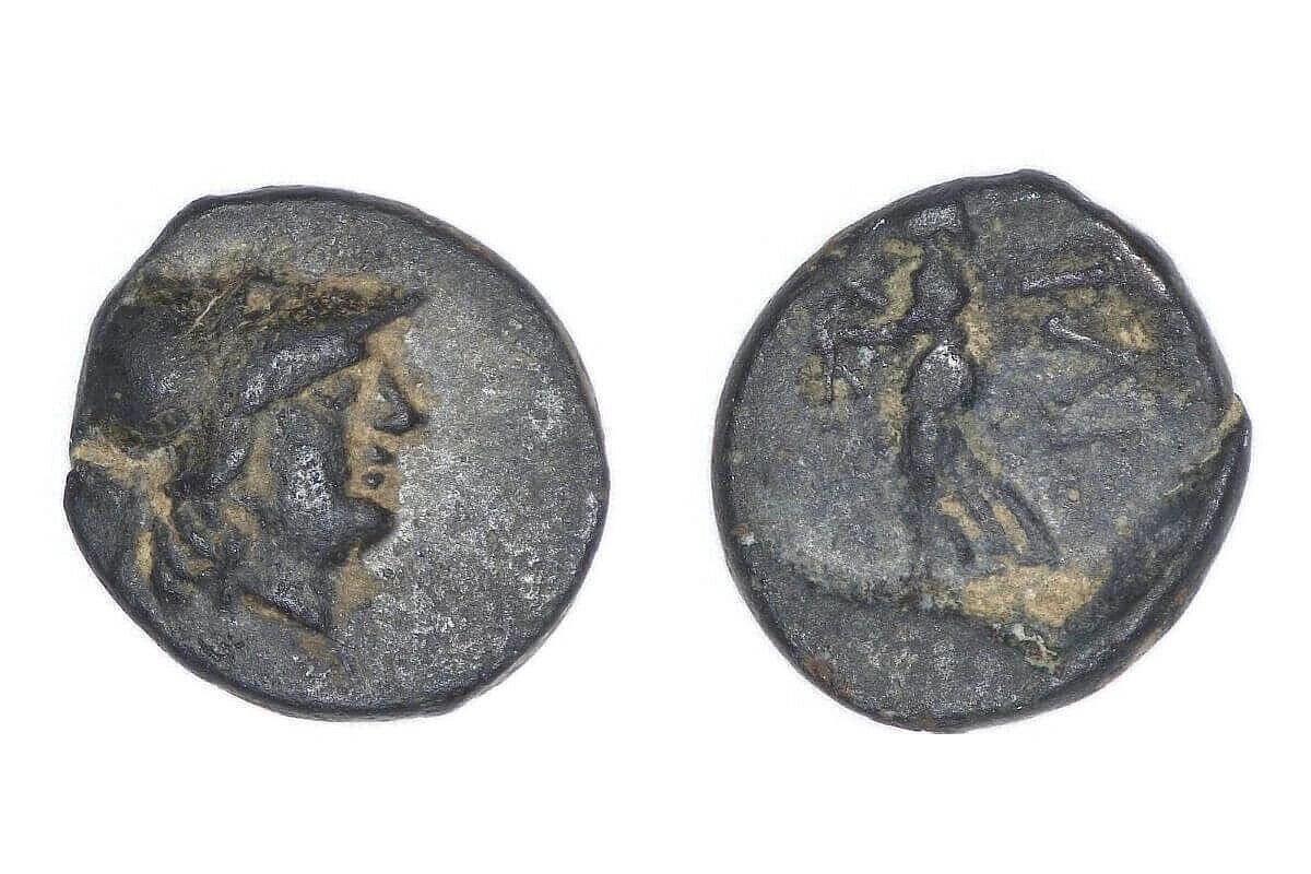 На аверсе изображена голова богини Афины в коринфском шлеме, на реверсе – Афина Илиада с копьем в правой руке и веретеном в левой.

(с) Staatliche Museen zu Berlin, Museum für Vor- und Frühgeschichte / Ulrike Scheibe