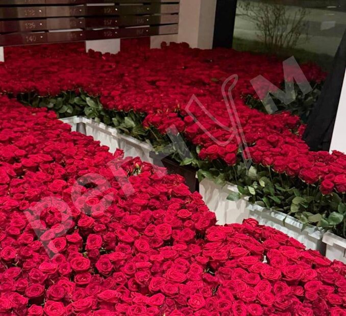     / Источник: © ИА Регнум