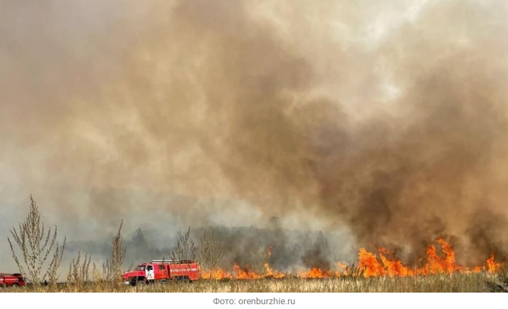 Источник новости: https://nia.eco/2026/04/17/113356/