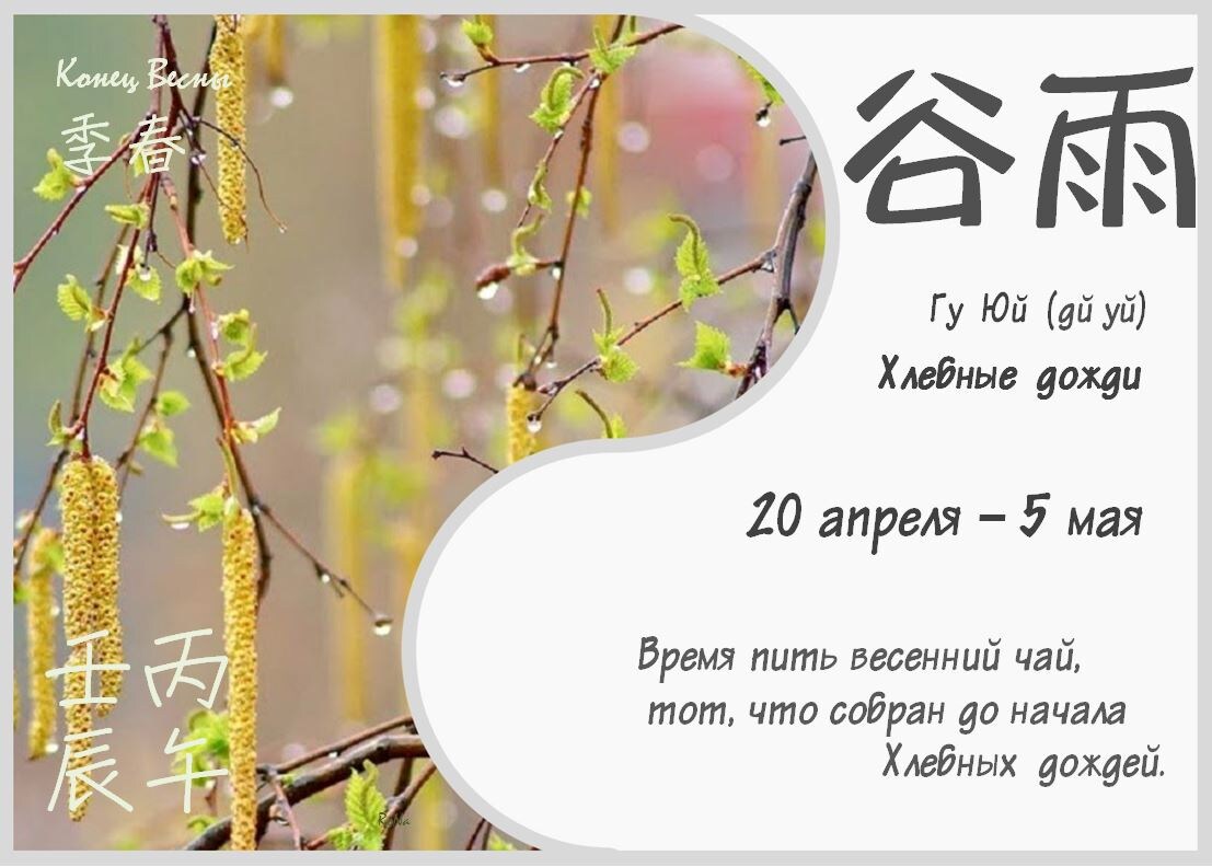 24 сезона - Гу Юй