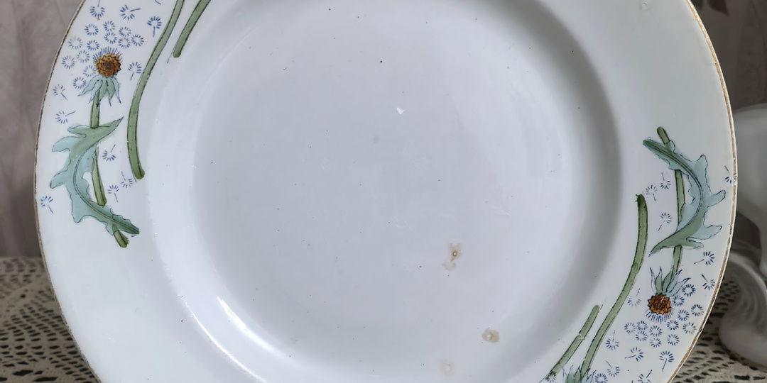 Такой необычный ЗИК. Редкая тарелка "Одуванчики" в подарок от подписчицы