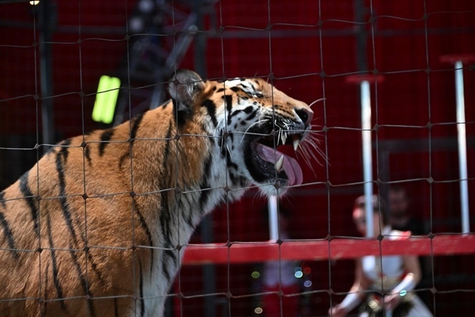    В результате инцидента никто не пострадал Евгения ГУСЕВА