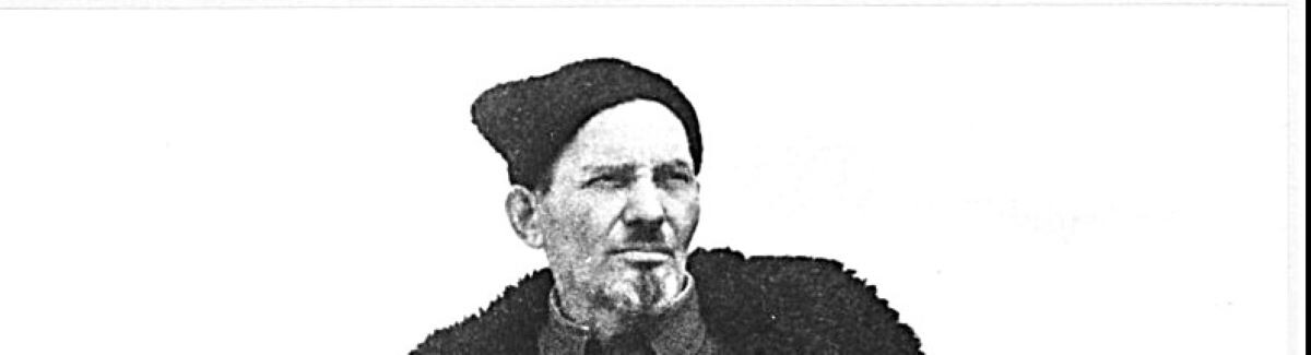 Казаки в "Тихом Доне" и советские партизаны - есть ли сходство?