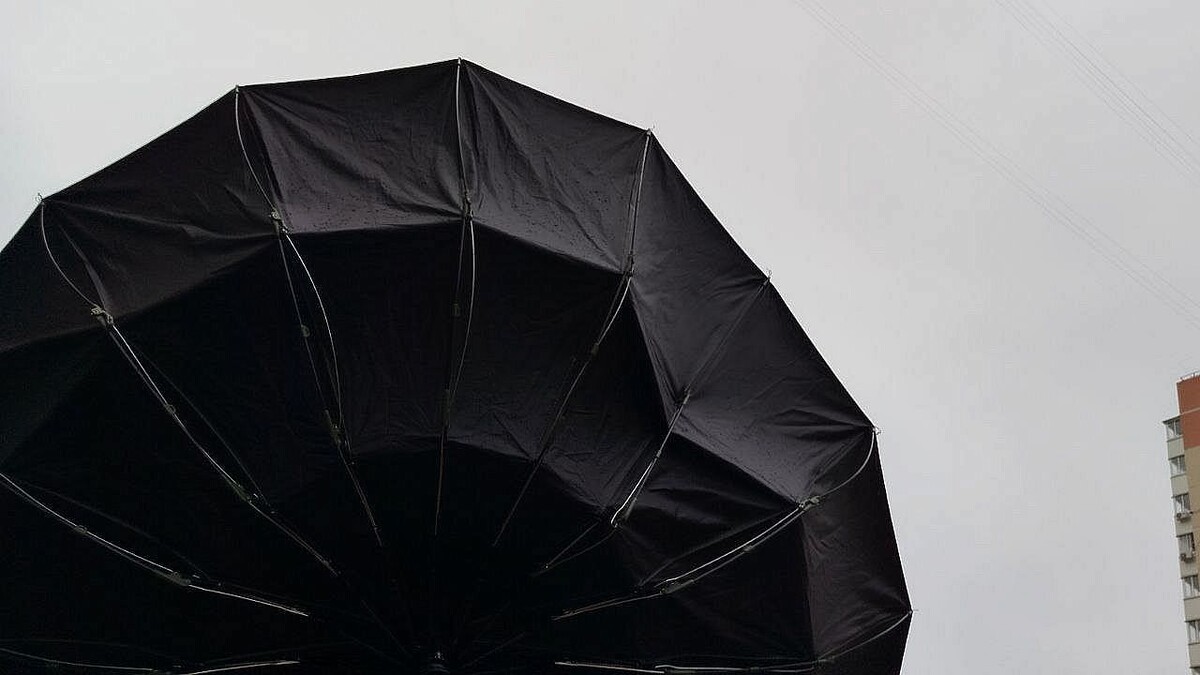    Фото: телеканал «Краснодар»