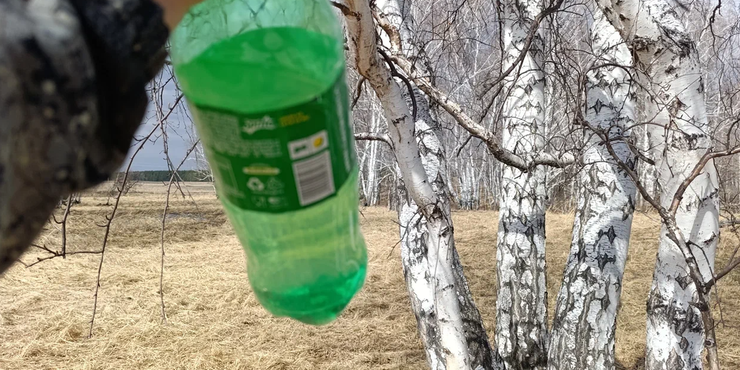 Деревенские школьники мечтают уехать в город. И от этого никуда не деться