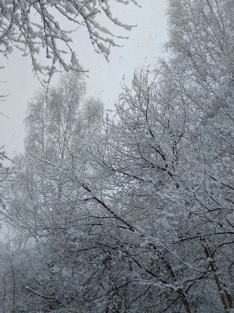 Он до сих пор падает. Вчера в Томске было вот так. Фото мужа, листайте галерею.  