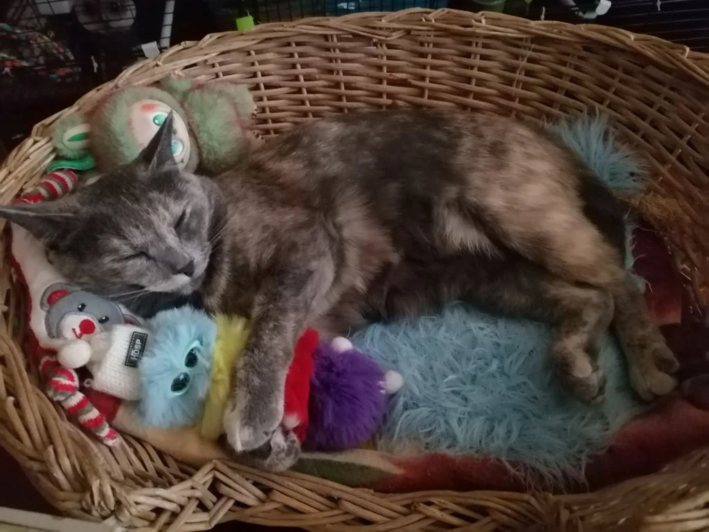 Фото автора абсолютно не постановочное