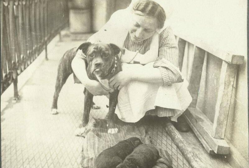 ⏳ Медицинская сестра