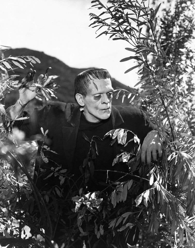 Борис Карлофф. Франкенштейн (1931)
