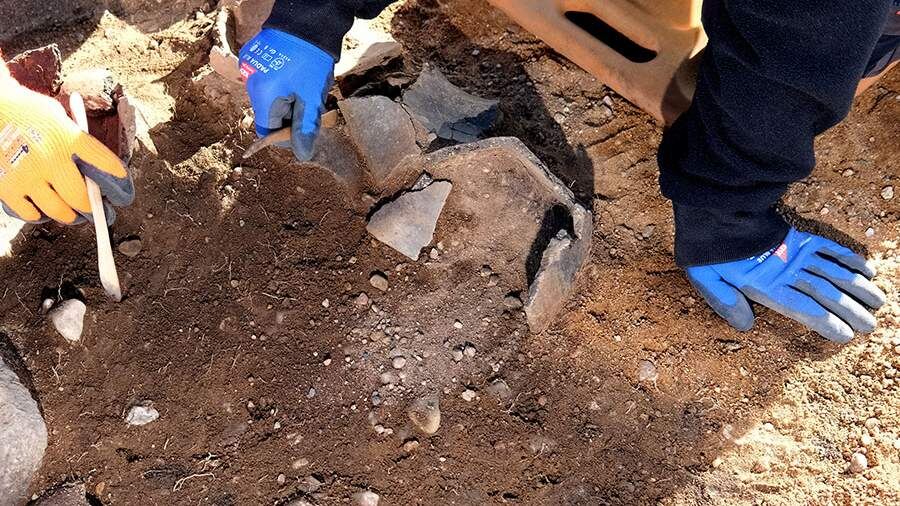    Фото: TASS/Sebastian Willnow