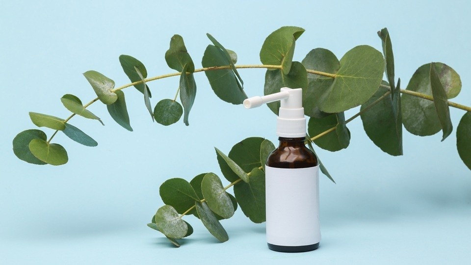    Терапевт дала советы по лечению ангины домашними методами Shutterstock