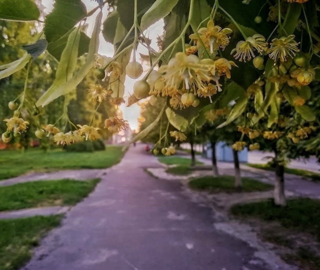 Случайная встреча