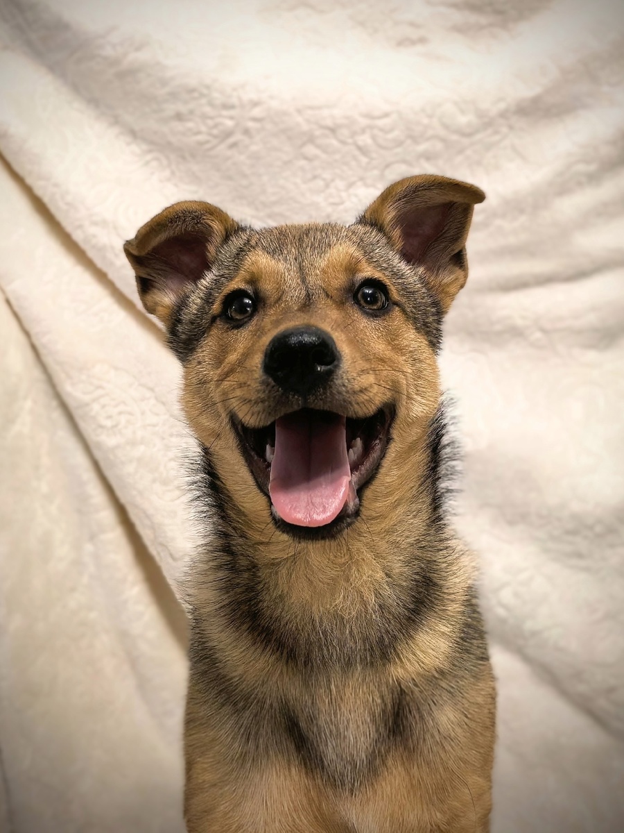 Так Молния всегда радуется, когда кто-то уделяет ей внимание.