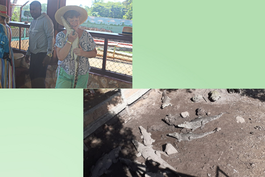 В гостях у крокодилов.