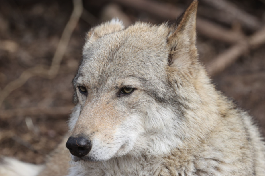    Сергей Булкин/NEWS.ru