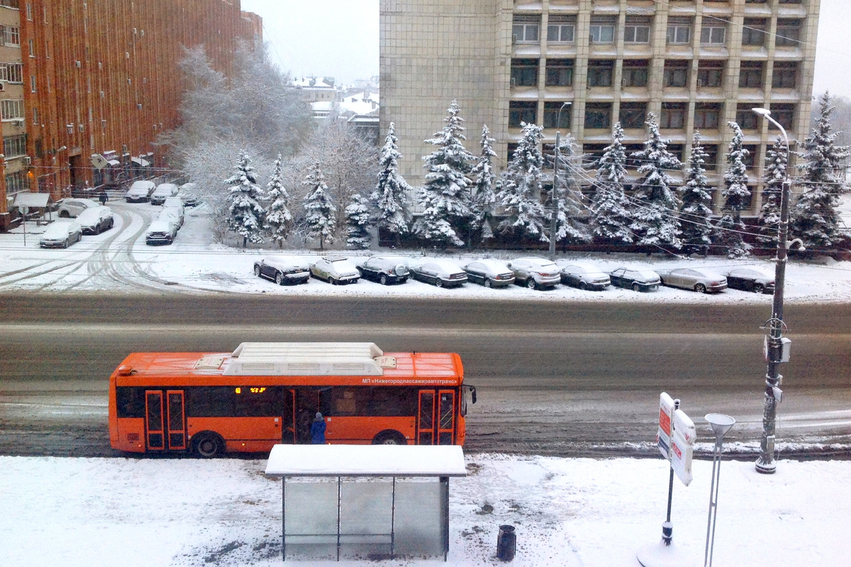 Вид из номера отеля