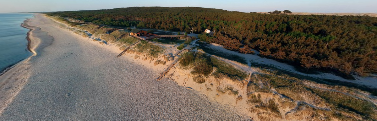 55-метровую дюну «не пускает» высаженный людьми лес. Фото Яндекс Панорамы